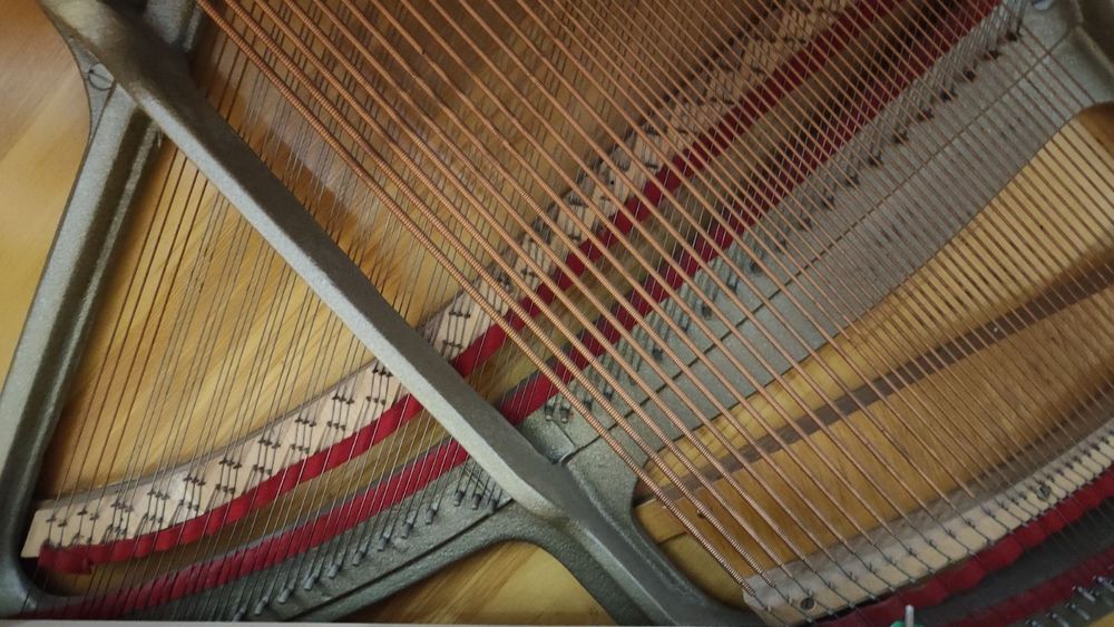 Фортепіано.Піаніно.(Zimmermann).