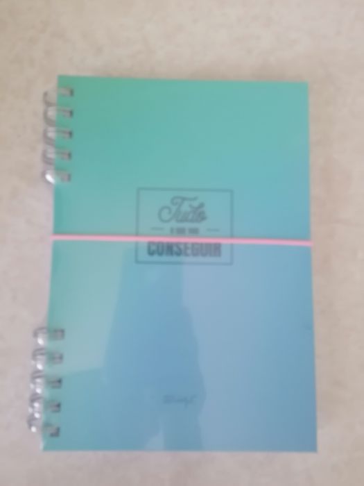 Caderno A5 "Tudo o que vou conseguir" + bola insuflável Mr Wonderful