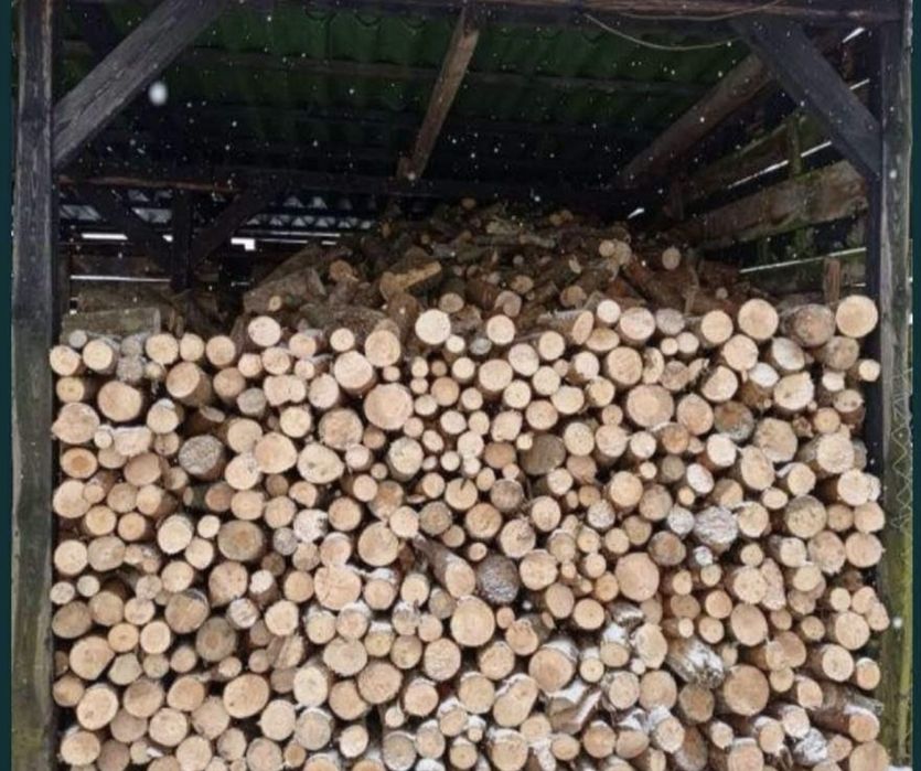 Drewno opalowe i kominkowe