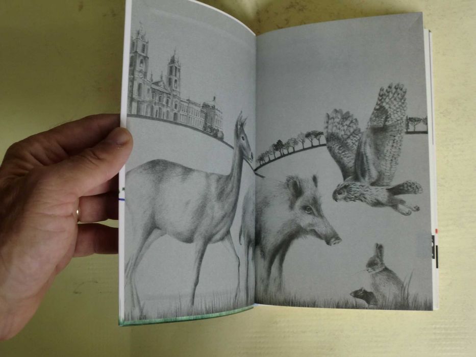 As fabulosas histórias da Tapada de Mafra
de Cristina Carvalho