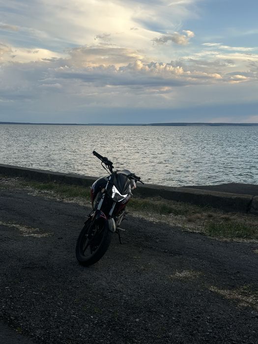 геон пантера N200