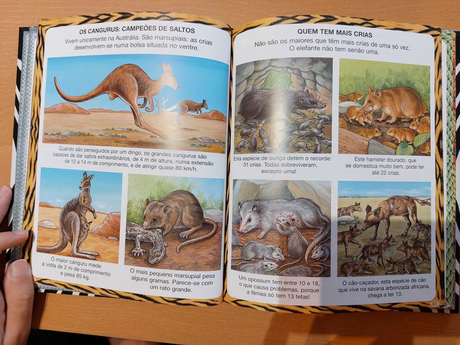 Dicionário por imagens | 4 livros