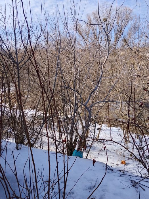 Продам дом в центре Новой Водолаги