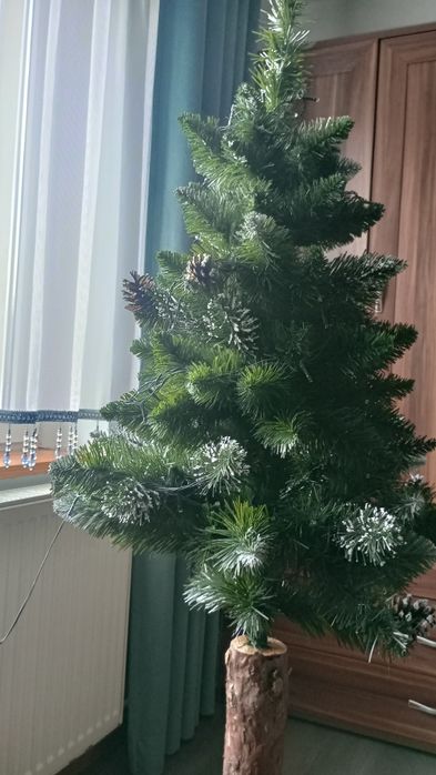 Choinka na sosnowym pniu