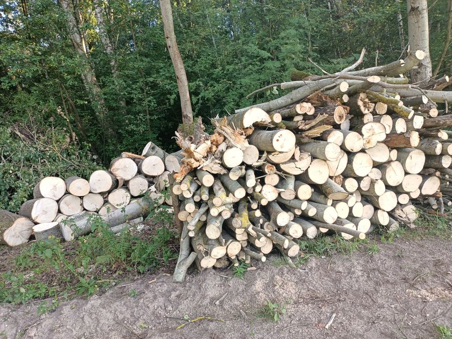 Drewno kominkowe, opałowe