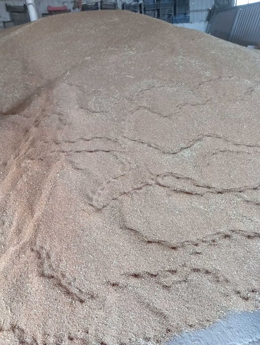 Продається ячмінь