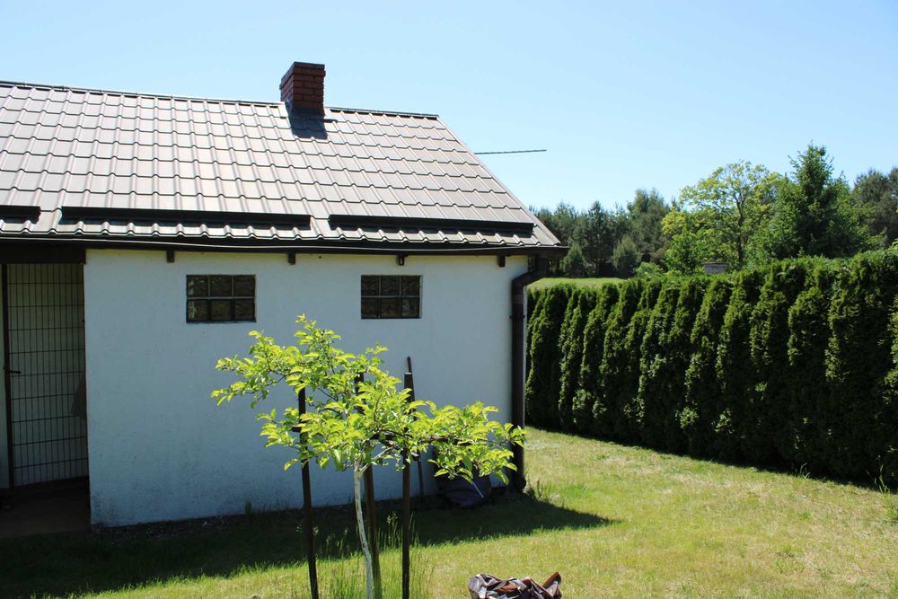 Sprzedam działkę ROD Zalesie w Pile - Widok 5