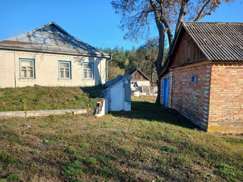 Будинок біля лісу та річки