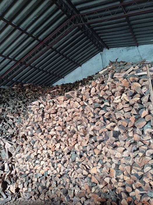 LENHA DE AZINHO  seca