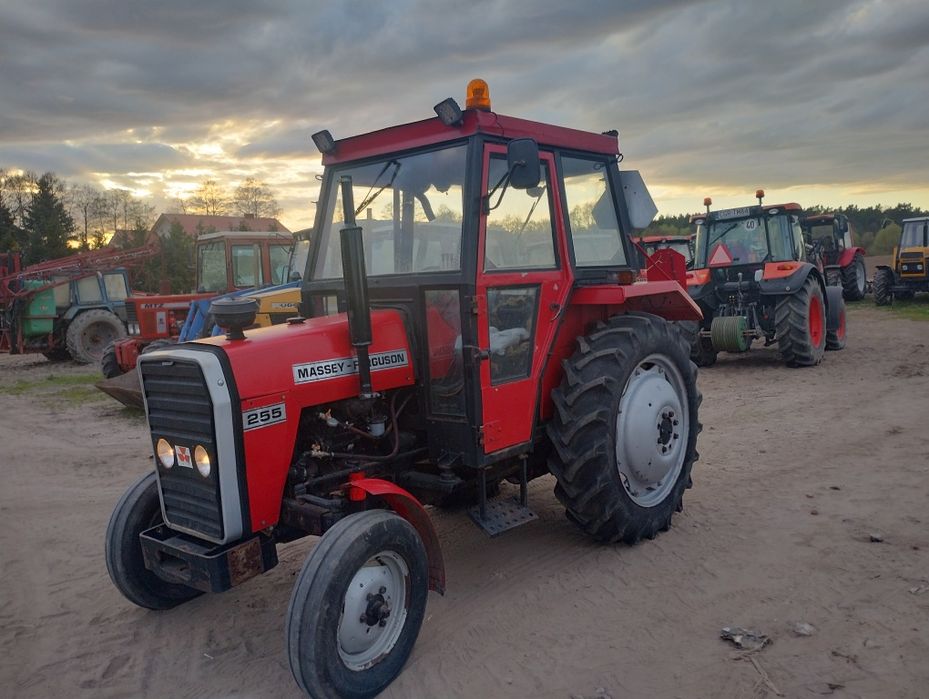 Sprzedam Massey Ferguson 255, rok 1989. Zamiana