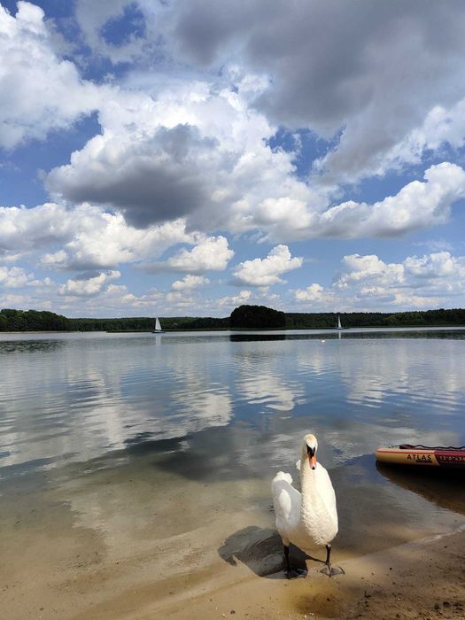 Domek nad Jeziorem Niesłysz w pierwszej lini brzegowej