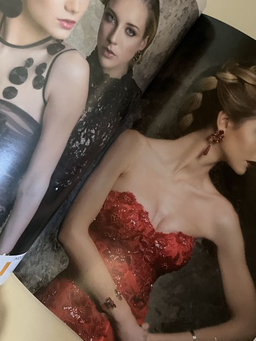 Revista / livro profissional de cabeleireiro / penteadis
