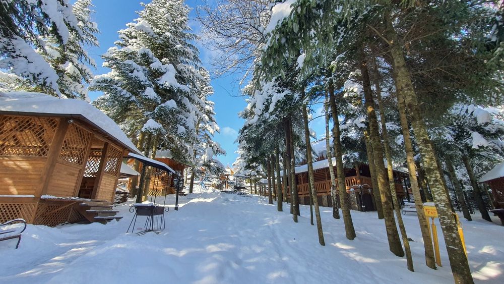 Будинки в Карпатах.  Котедж в Мигово