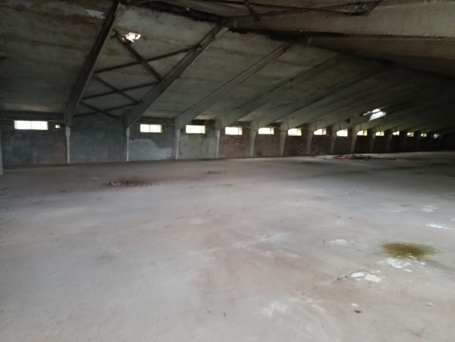 Комплекс комерційних будівель 6000  тис кв
