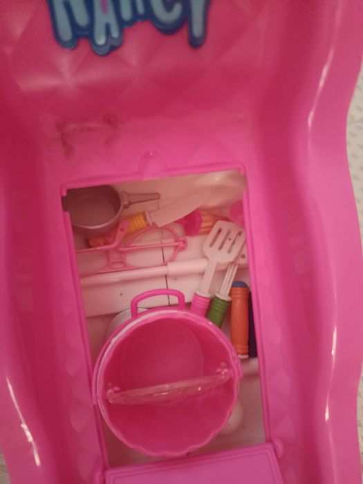 Nancy veterinária e trenó