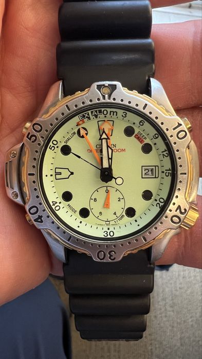 Citizen Promaster