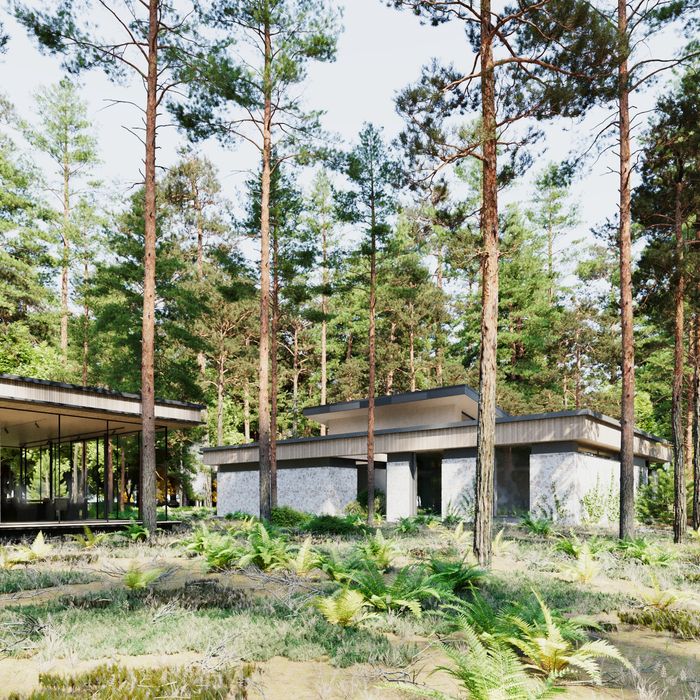 Дом в коттеджном городке Сосновый берег Обуховка пос Кировское