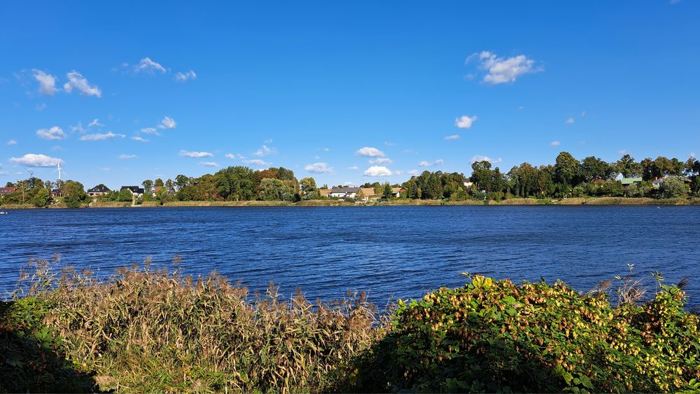 Duża działka ROD nad jeziorkiem z domkiem całorocznym 1000 m² - Widok 4