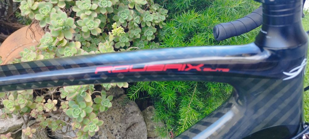 Bicicleta Specialized Roubaix elite