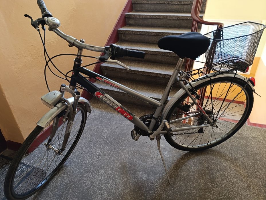 Rower damka koła 28