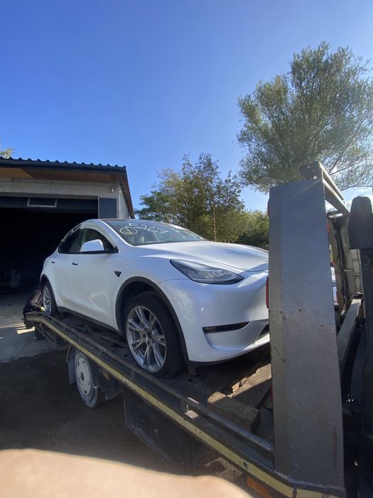 Tesla Service  Cybertruck.Lucid  Всі програмні роботи Діагностика