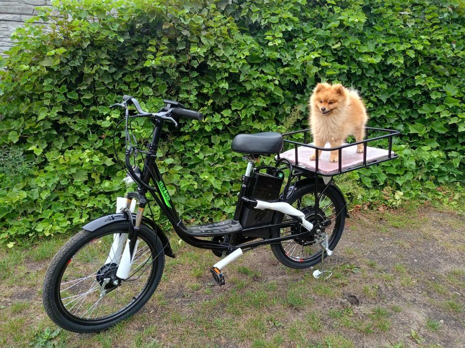 Transportowy rower elektryczny