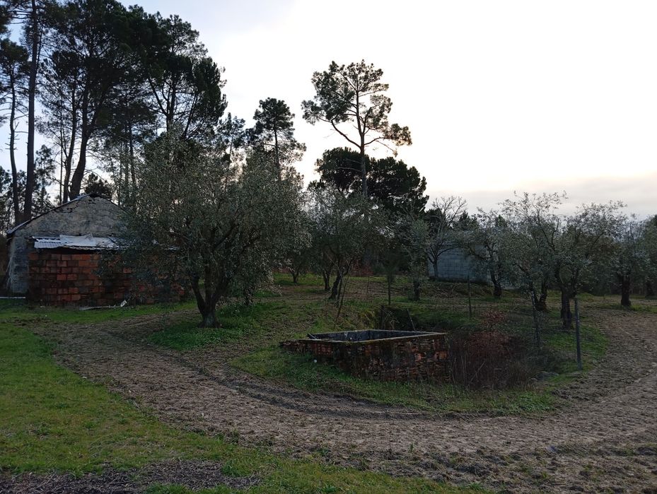 Terreno Agrícola - Vilar Seco