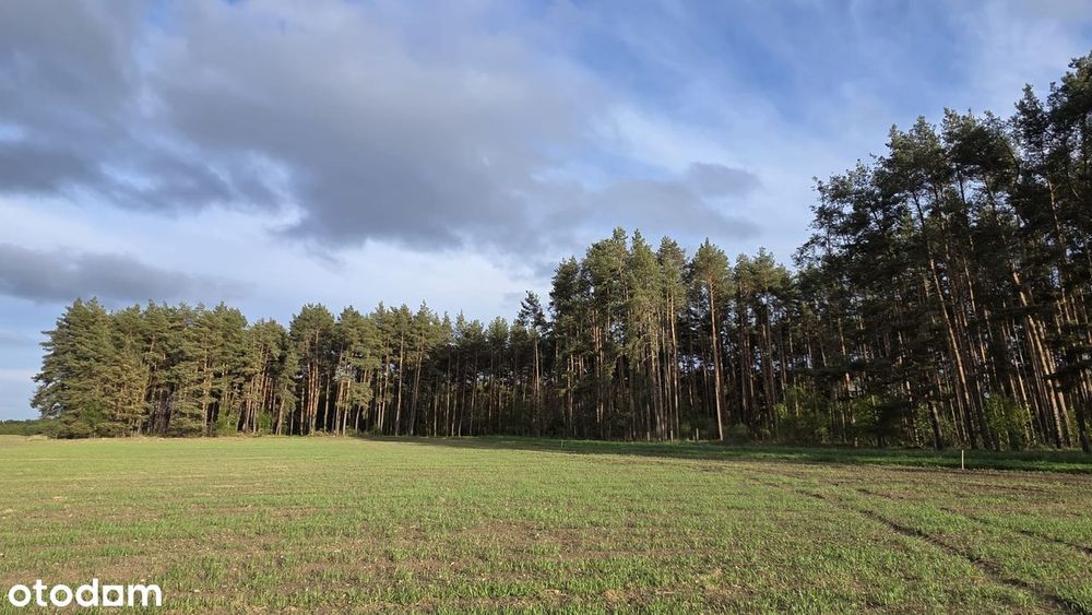 Działki pod lasem z widokiem, spokój i cisza, WZ