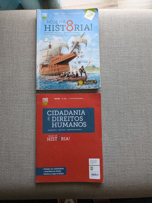 Manuais e cadernos 8º ano: Português, Matemática, FQ, etc