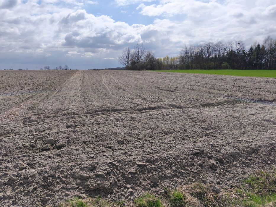 Działki rolno- budowlane