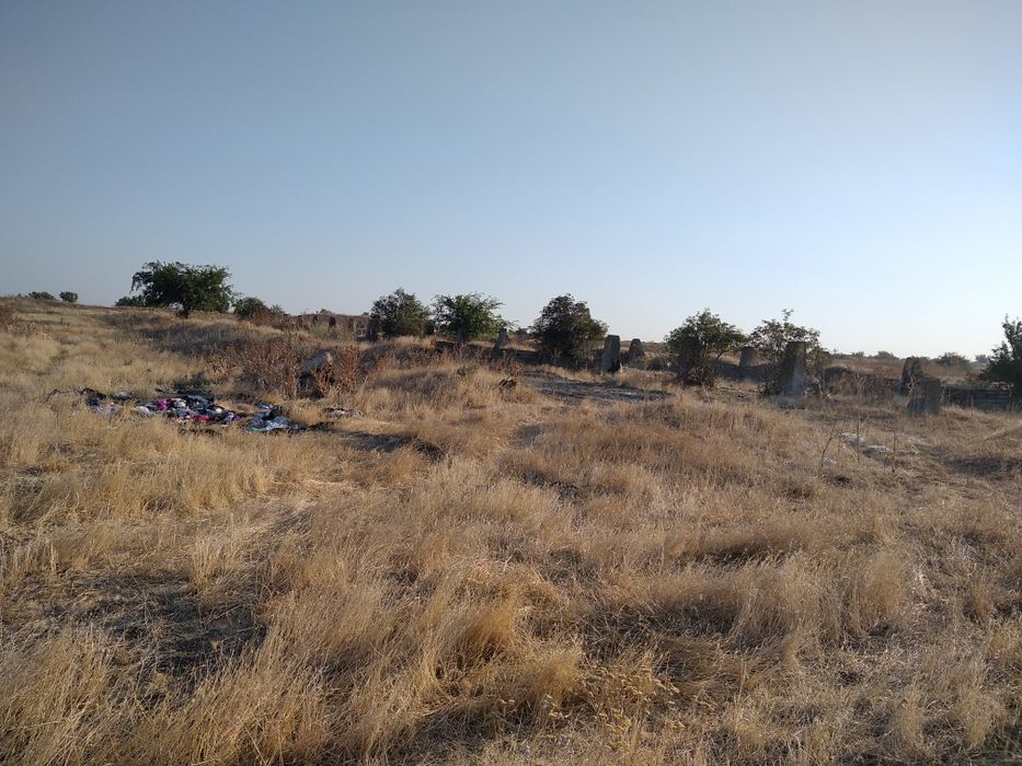 Продам 12 га Сельхоз пай Лебенталь