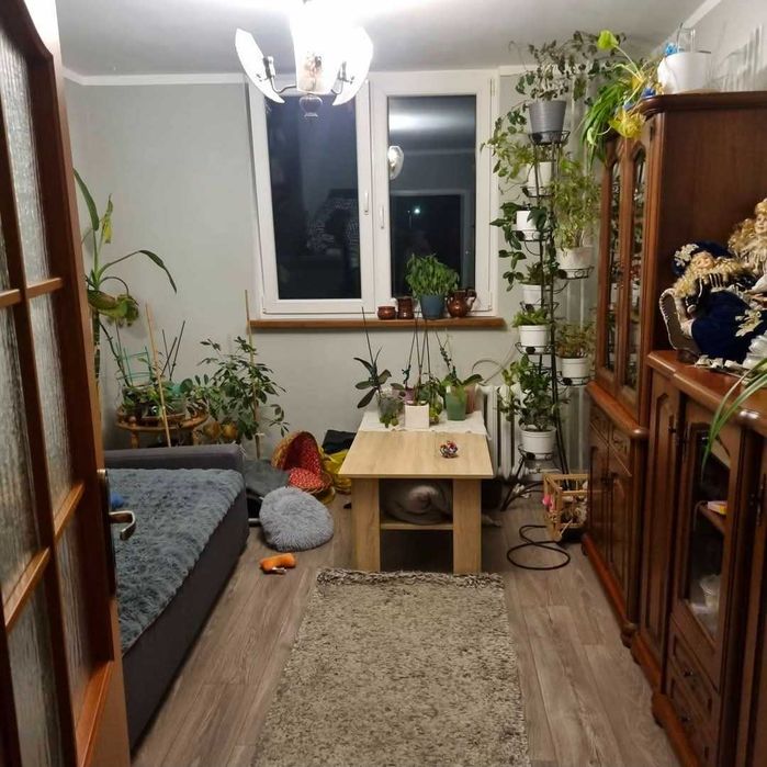 Mieszkanie 59m Ścinawa