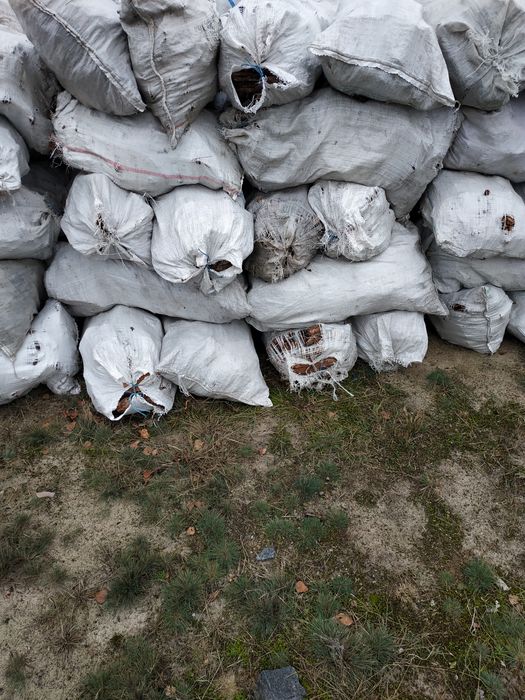 Продам Кору сосни