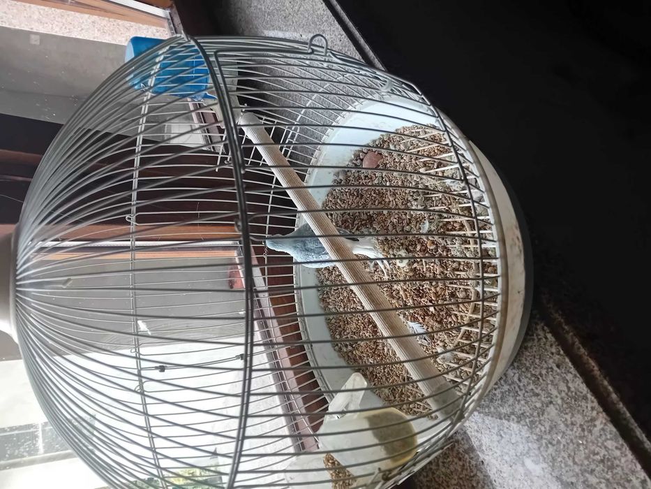 Rola de diamante mais gaiola