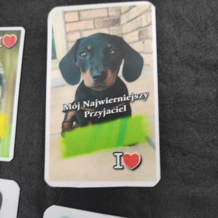 Magnesy na lodówkę