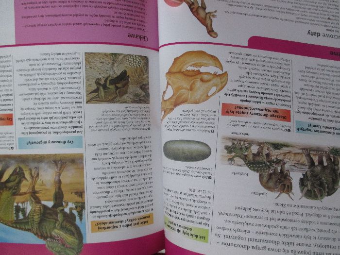 Encyklopedia dla ciekawskich - idealna dla dzieci i starszych