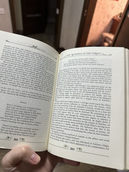 Книга англійською мовою Ann Radeliffe The Romance of the Forest