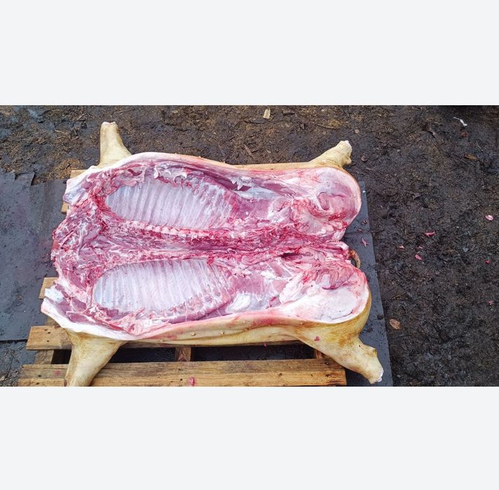 Домашня свинина частинами туша півтуша четвертинна