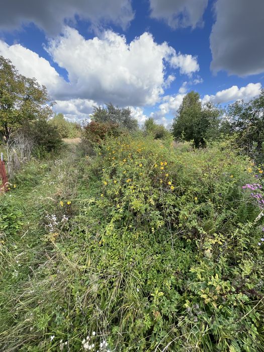 ПРОДАЖ! Земельна ділянка 6 соток ( 1 500 $/сотка) Львів, Рясне-Руське