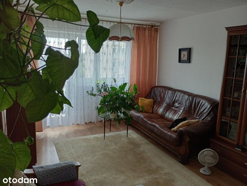 3 pokoje, Żoliborz, Balkon, Piwnica, 48,5 m² , Bezpośrednio - Widok 5