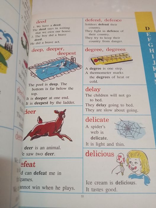 The Giant Picture Dictionary for Boys and Girl.