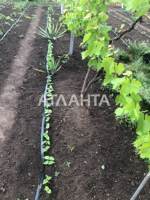дом в новой Дофиновке