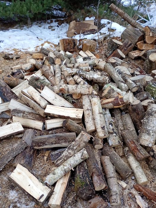 Drewno kominkowe suche brzoza