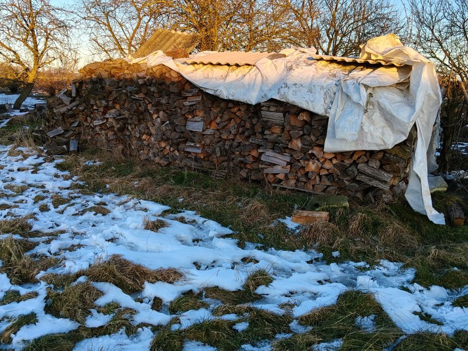 Sprzedam drzewo  opałowe