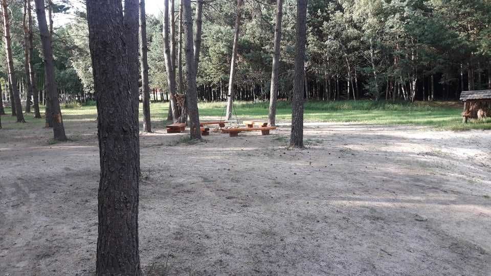 ZACISZE LEŚNE Domek do Wynajęcia