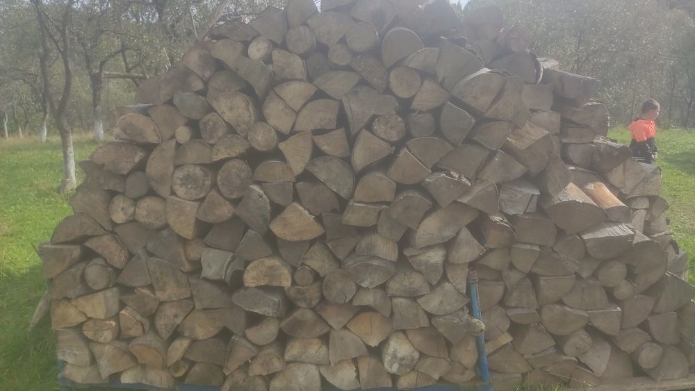 Продам дрова твердих порід