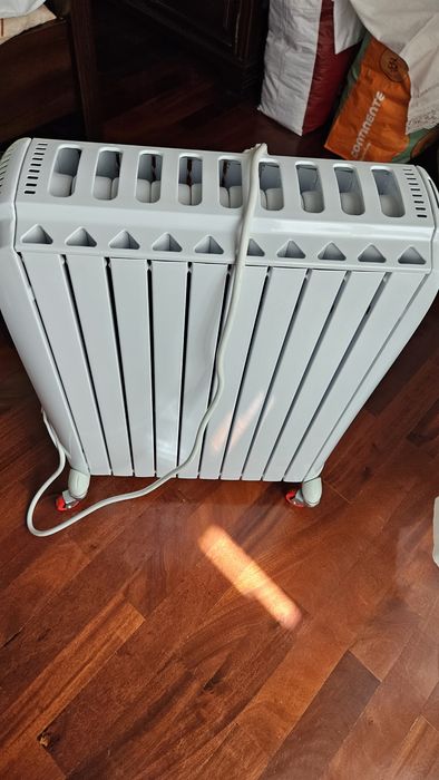 Aquecedor a óleo Delongui 2500W TRD4 1025