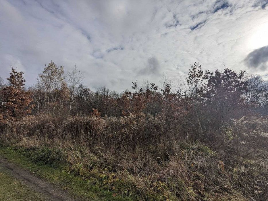 Продається ділянка 13 сот СТ Прогрес (1)