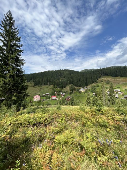 Продається 1.2 гектара з можливістю зміни цільового призначення