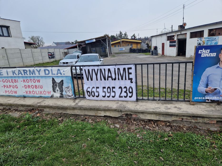 Wynajmę  nieruchomości